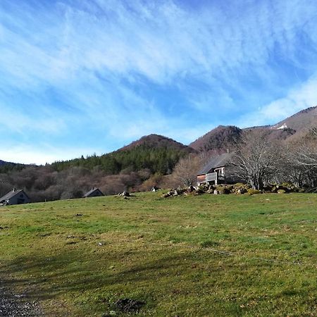 Les Chalets De La Foret D'Issaux Osse-en-Aspe Eksteriør billede