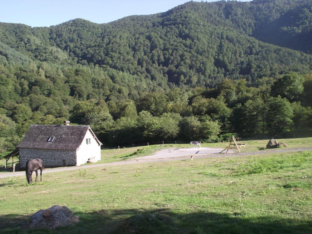 Les Chalets De La Foret D'Issaux Osse-en-Aspe Værelse billede