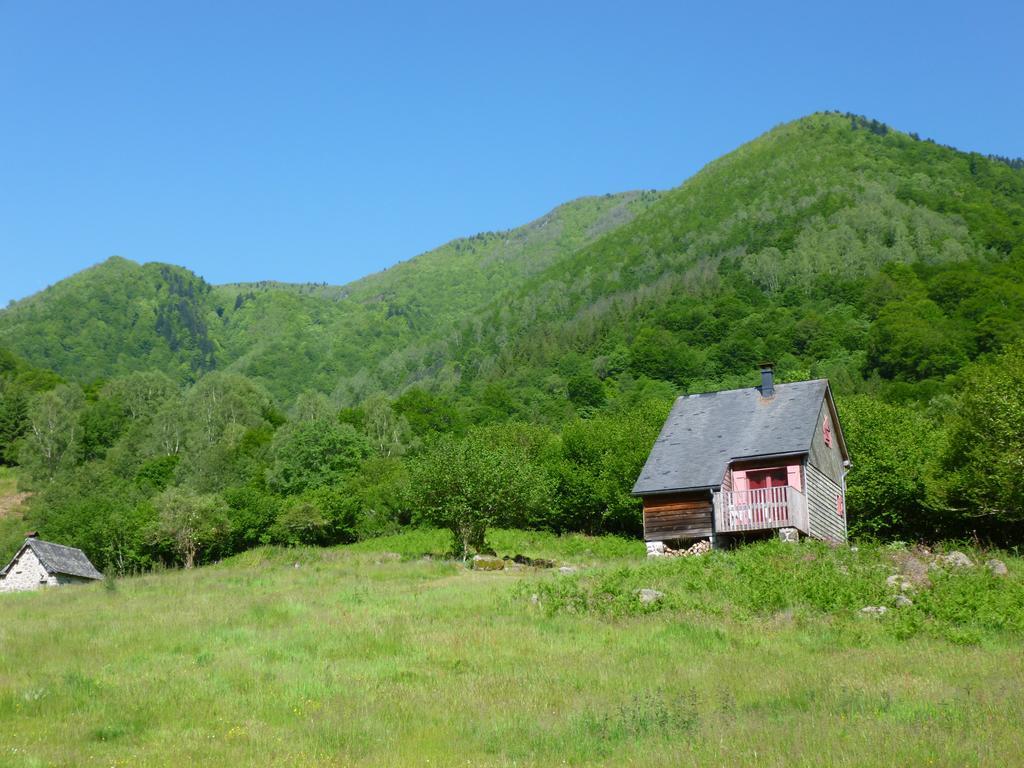 Les Chalets De La Foret D'Issaux Osse-en-Aspe Eksteriør billede