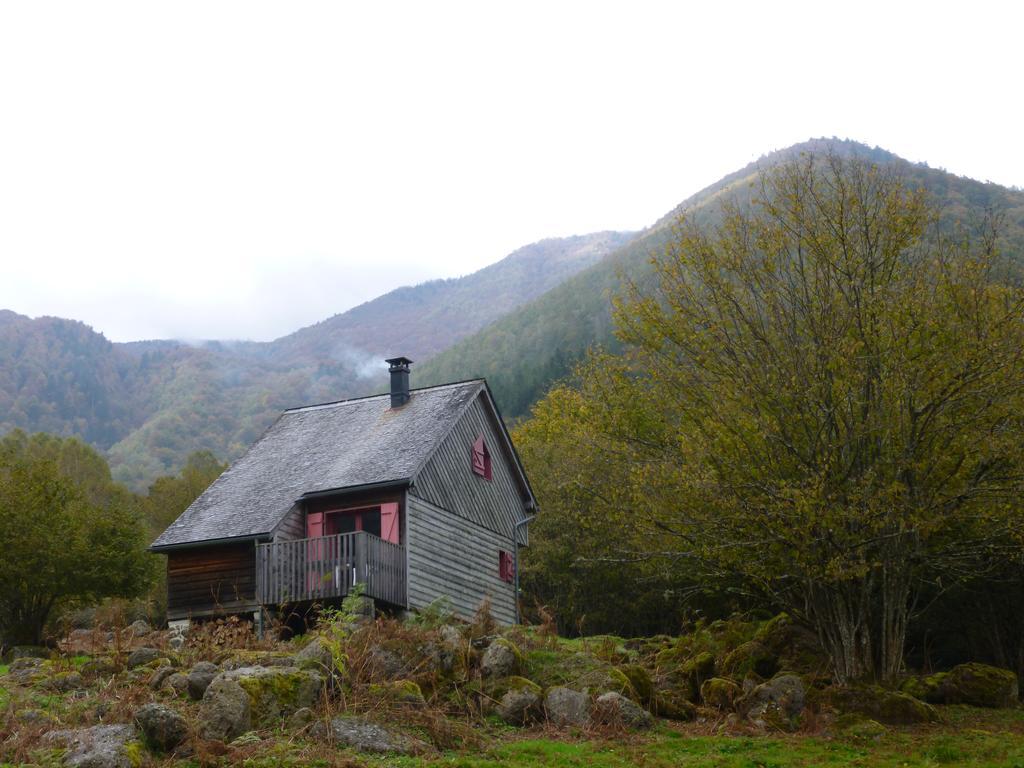 Les Chalets De La Foret D'Issaux Osse-en-Aspe Eksteriør billede