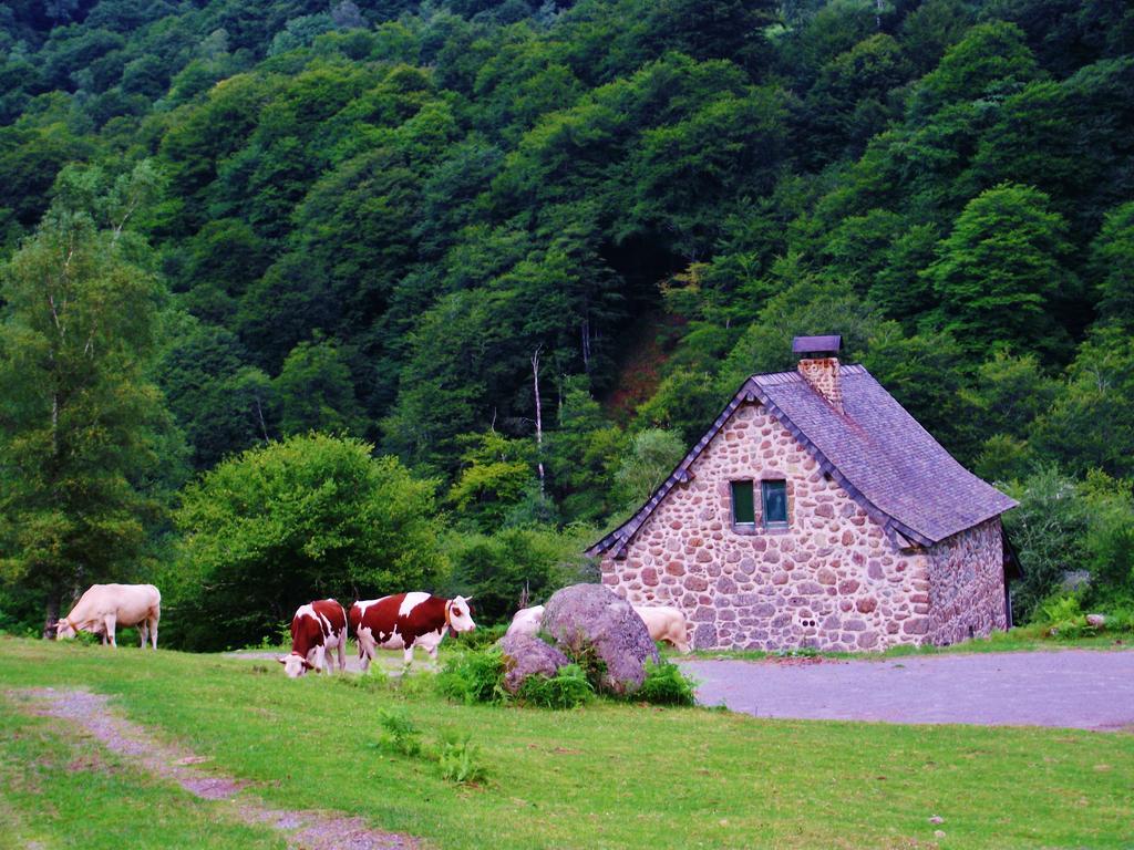 Les Chalets De La Foret D'Issaux Osse-en-Aspe Eksteriør billede
