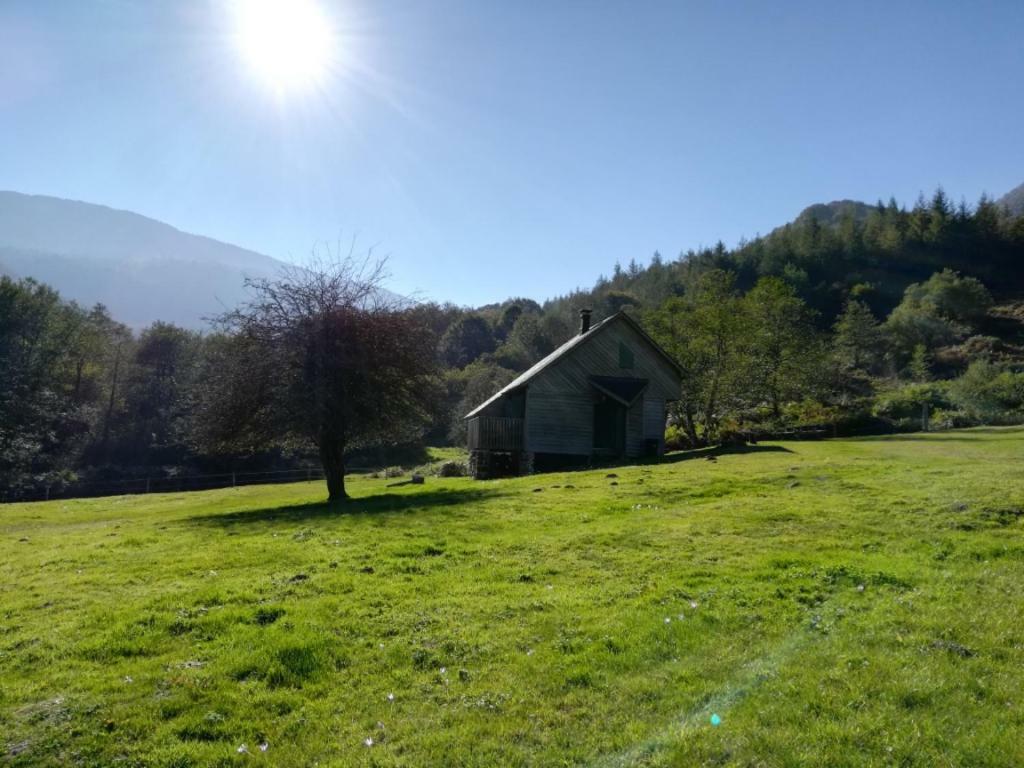 Les Chalets De La Foret D'Issaux Osse-en-Aspe Eksteriør billede