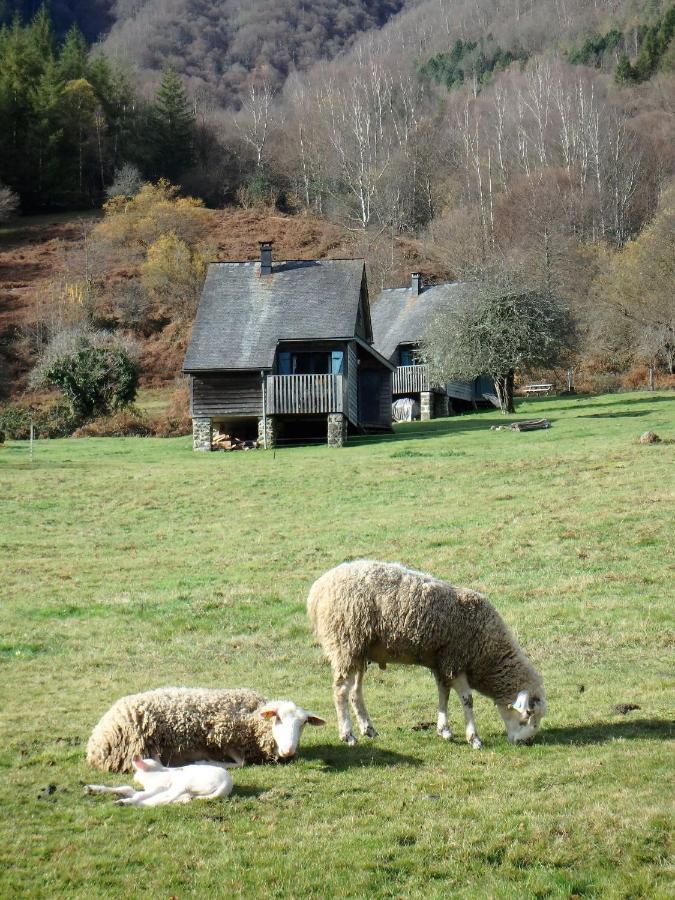 Les Chalets De La Foret D'Issaux Osse-en-Aspe Eksteriør billede