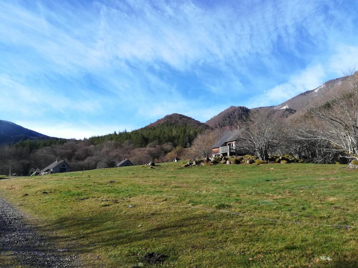 Les Chalets De La Foret D'Issaux Osse-en-Aspe Eksteriør billede